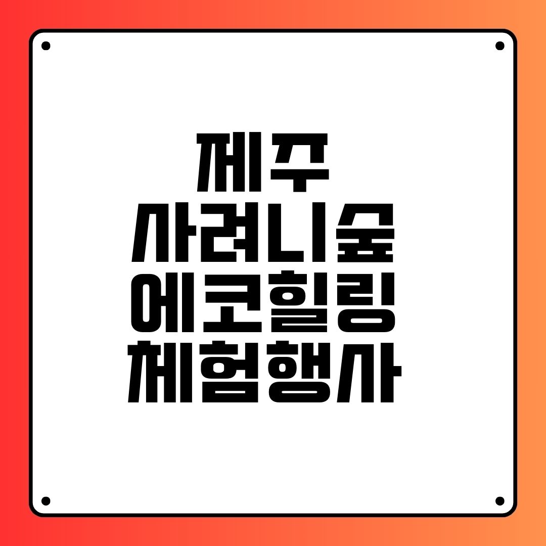 제주 사려니숲 에코힐링 체험행사
