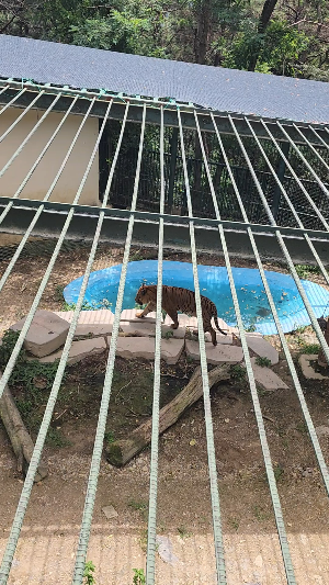 진주 진양호동물원,가성비가족나들이,자연체험