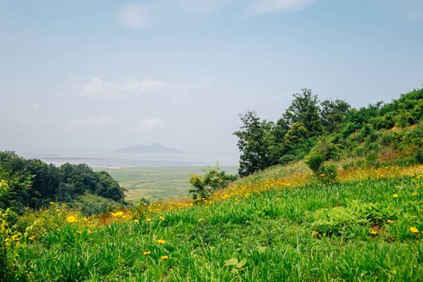 그린 빌딩과 친환경 건축: 미래의 집