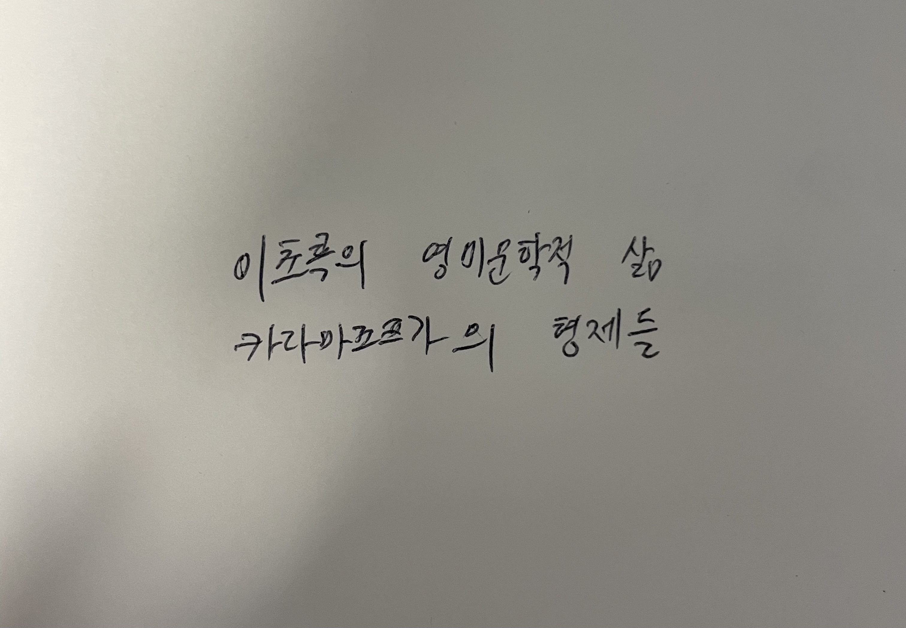 이초록의 영미문학적 삶- 카라마조프가의 형제들 도스토예프스키 손글씨