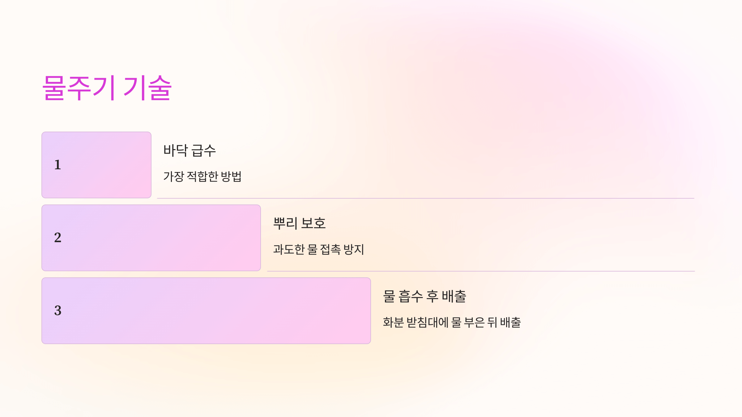 시클라멘 사진입니다.