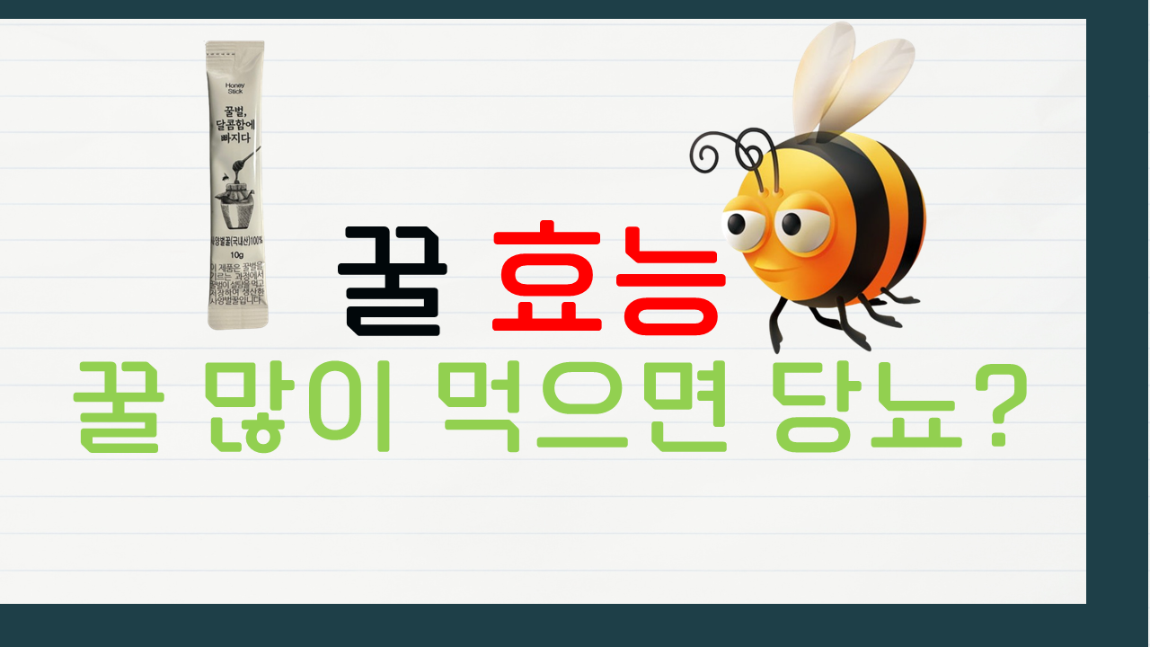 꿀 효능 꿀 많이 먹으면 당뇨 꿀 종류