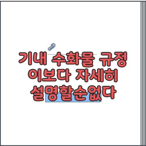 기내 수화물 규정 이보다 자세히 설명할순없다