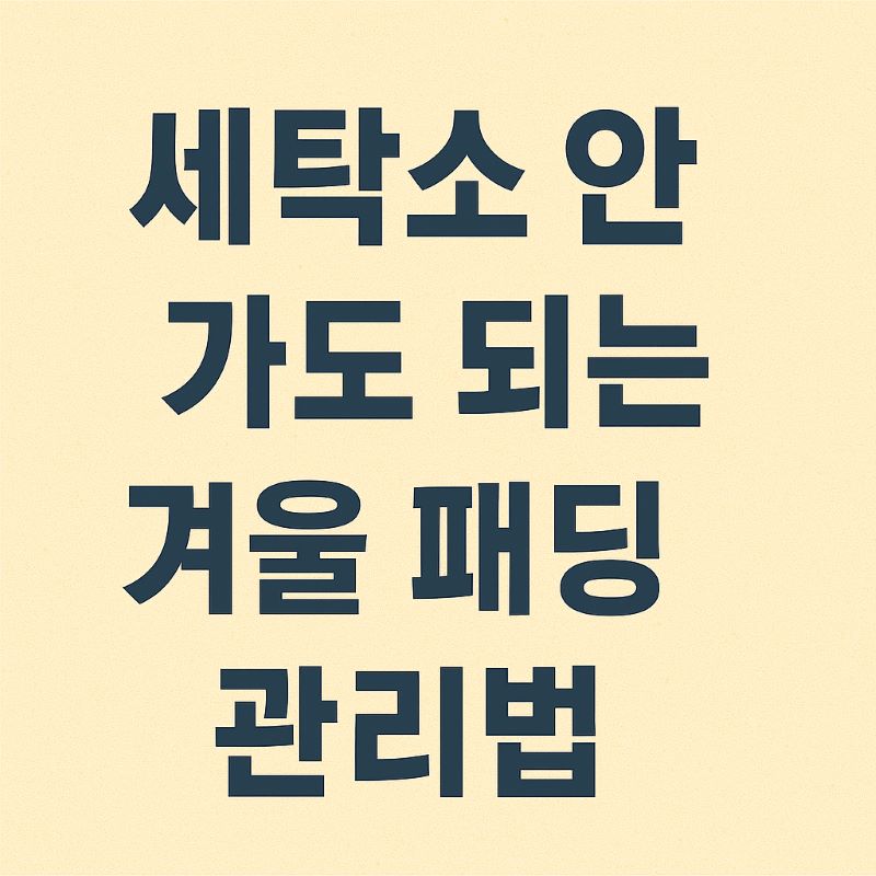 세탁소 안 가도 되는 겨울 패딩 관리법