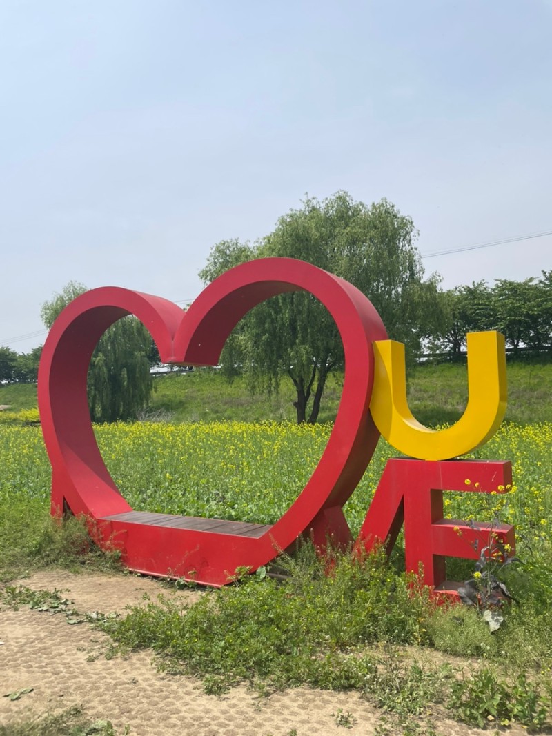  2024 창릉천 유채꽃 축제 특징