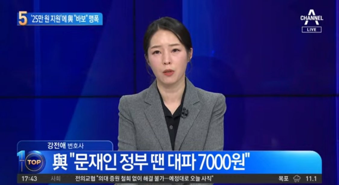강전애 변호사 프로필