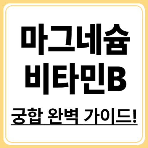 함께 먹으면 좋은 영양제! 비타민B군 + 마그네슘