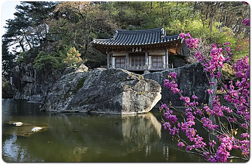 옛 기와집