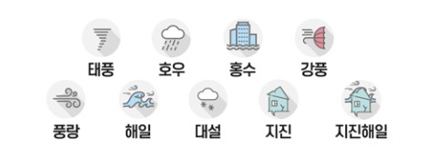 태풍 호우 지진 강풍 풍랑 해일 대설 지진