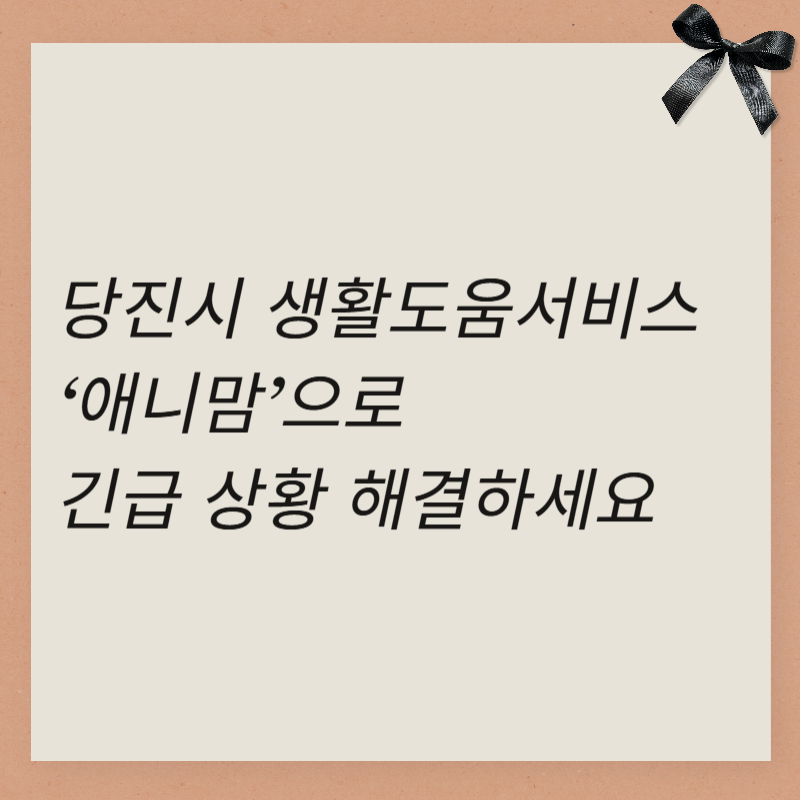 당진시 생활도움서비스 &lsquo;애니맘&rsquo;으로 긴급 상황 해결하세요