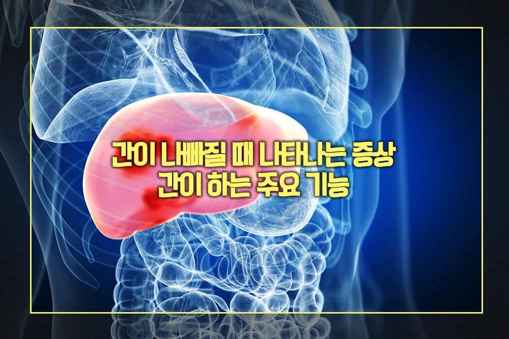 간이 나빠질 때 나타나는 증상 간 주요 기능