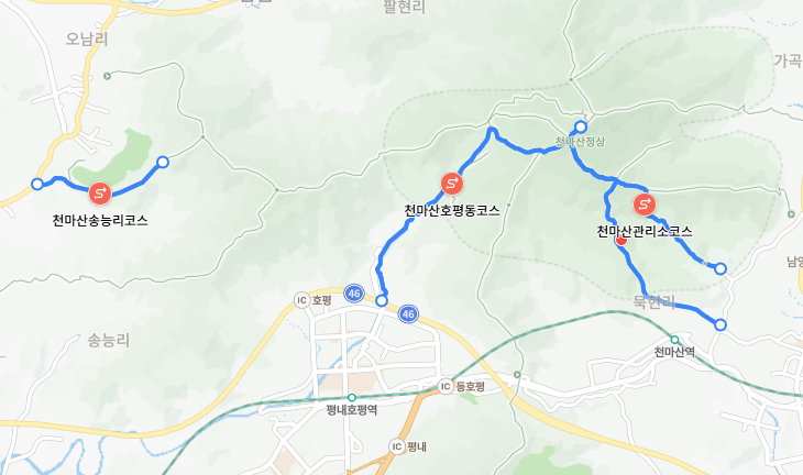 야생화 천국, 천마산 봄 산행 등산코스🌸