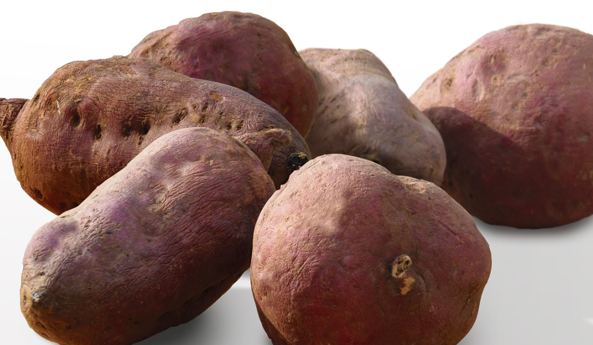 고구마-호박-아름다움-건강-근육-냉증