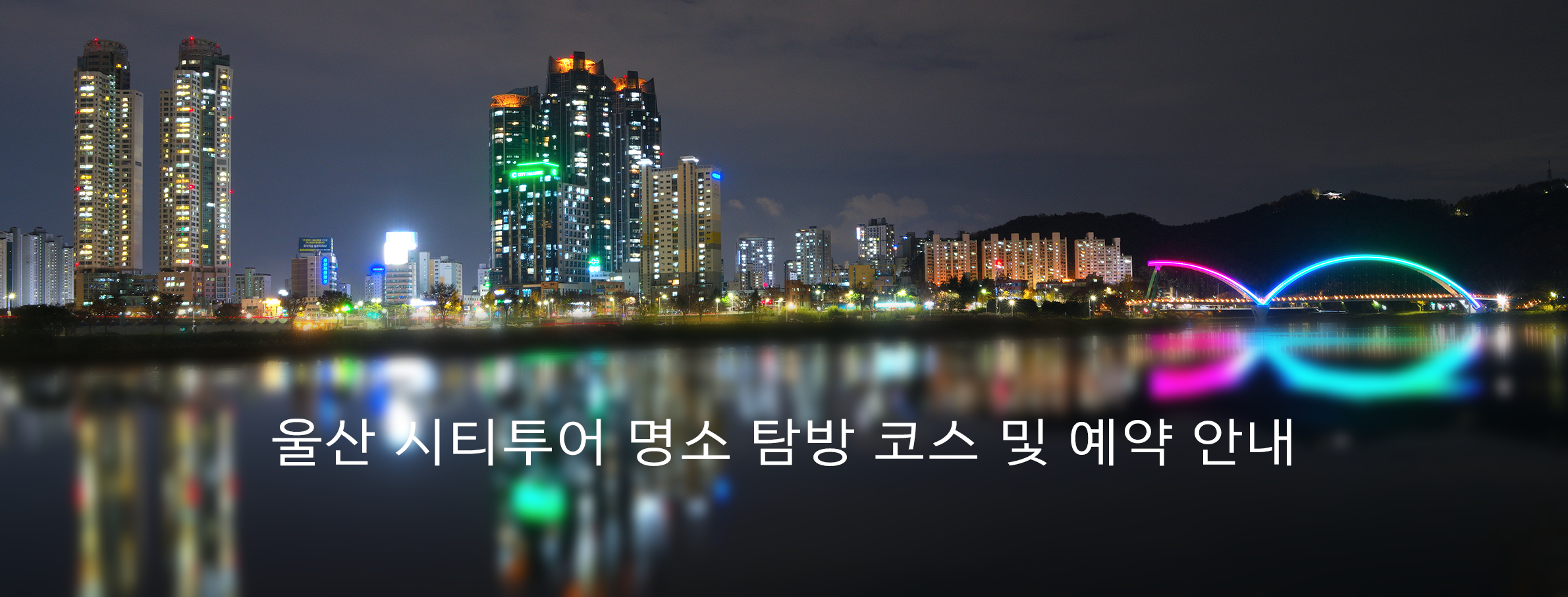 울산 태화강 십리대밭교 야경