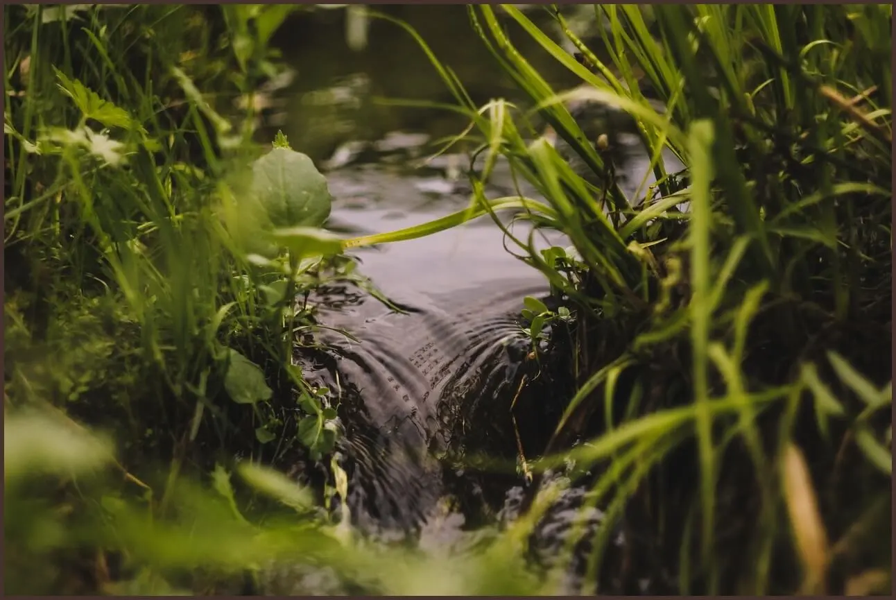 농협은행 정기예금 금리