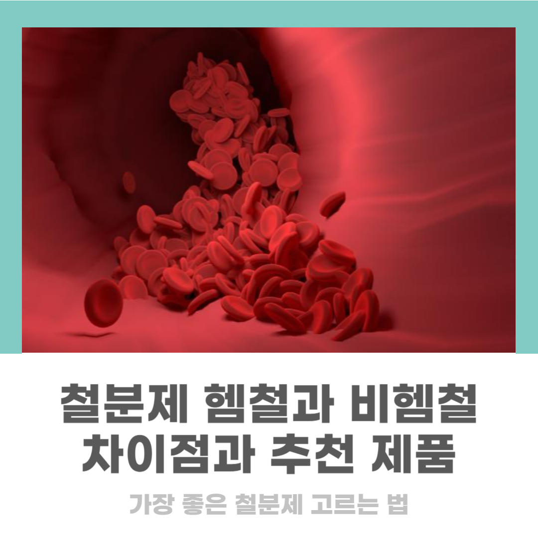 헴철 철분제