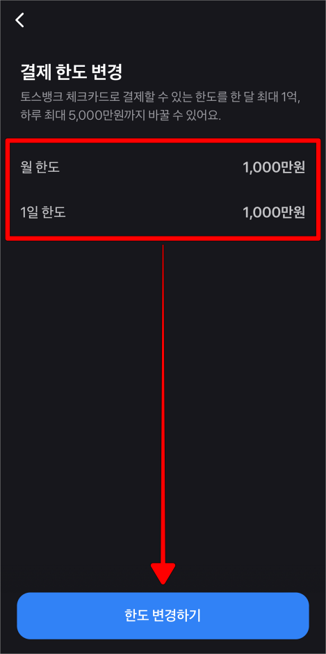현재 월 한도와 1일 한도를 확인하고, '한도 변경하기'를 선택