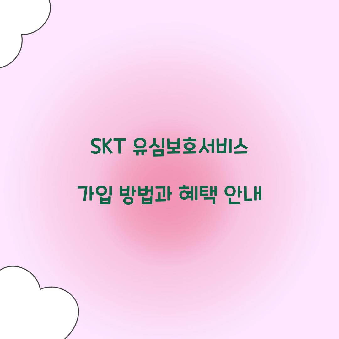 SKT 유심보호서비스