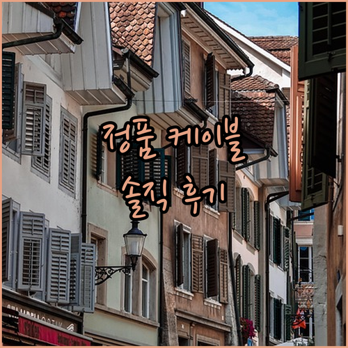 정품 애플 USB-C 충전 케이블! ..