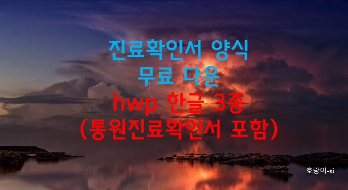 진료확인서 양식 무료 다운