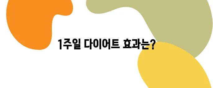 1주일 다이어트 식단표로 3kg 감량, 진짜 가능할까?