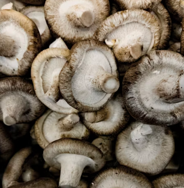 비타민D 부족 증상 섭취방법 많은 음식