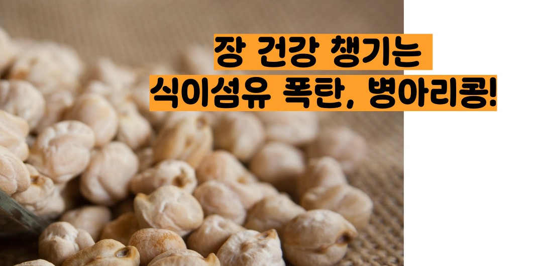 병아리콩 효능 부작용