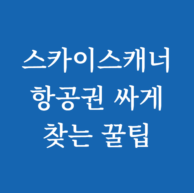 스카이스캐너 항공권 싸게 찾는 꿀팁