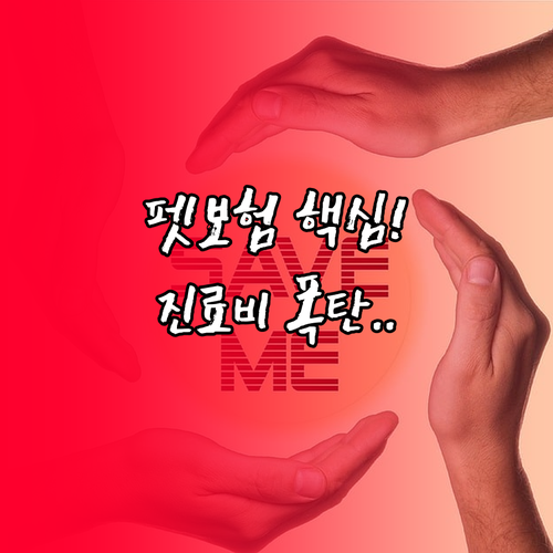 고액 진료비 막는 펫보험! 확대된 일..