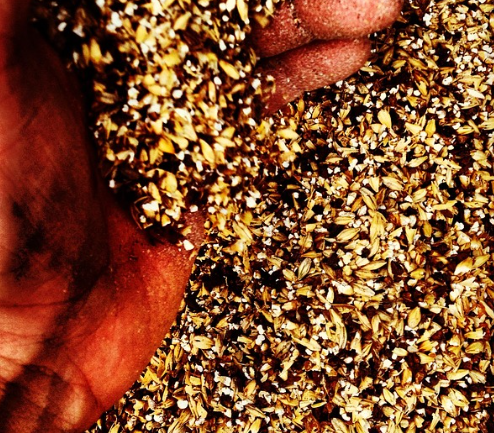 맥주효모의 영양성분