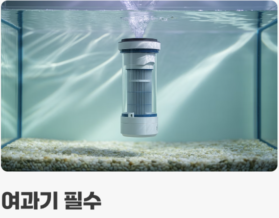 수질 관리 - 강인함의 비결, '기본' 지키기
