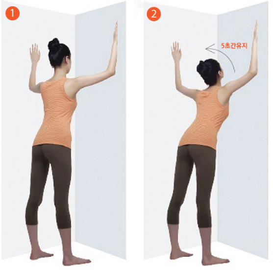 굽은 등 피는 스트레칭