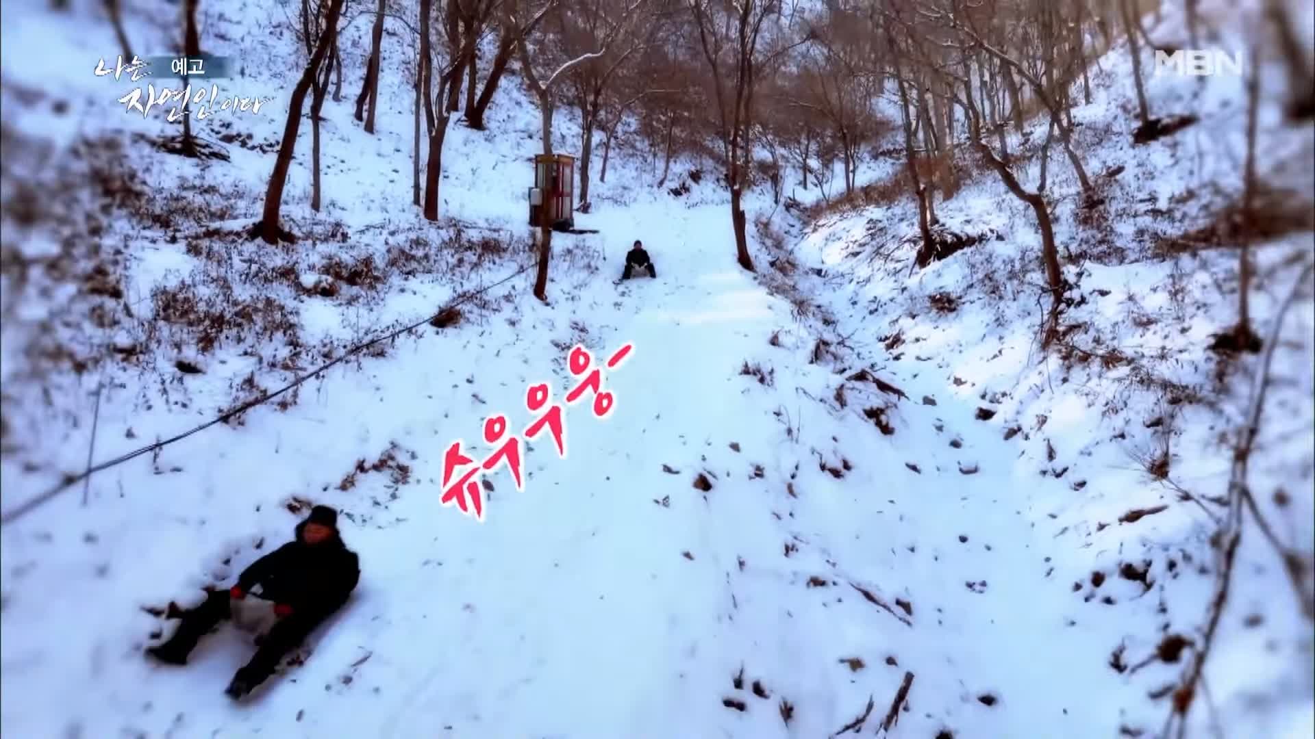 나는 자연인이다 겨울왕국 혹한 자작나무 피톤치드 닭개장 동치미 국수 자연인 김명기 소개 및 이승윤 출연 536회 다시보기