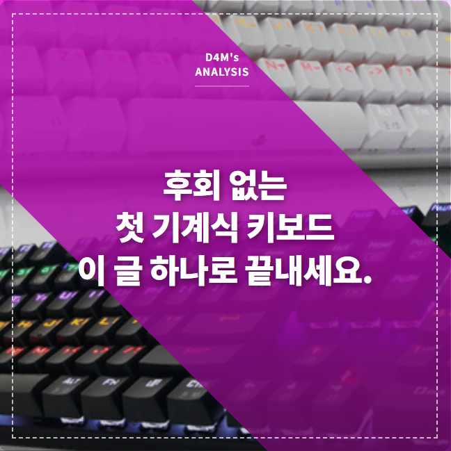 다양한 기계식 키보드 스위치가 나열되어 있는 모습