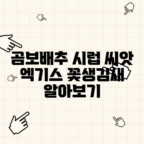 곰보배추 시럽 씨앗 엑기스 꽃생김새 알아보기