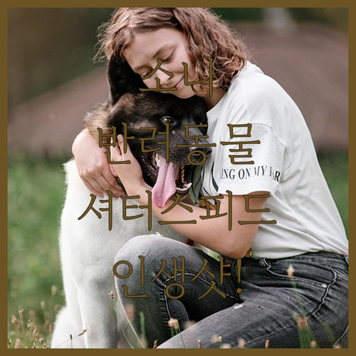 소니 ZV E10M2 A7M4 반려동..