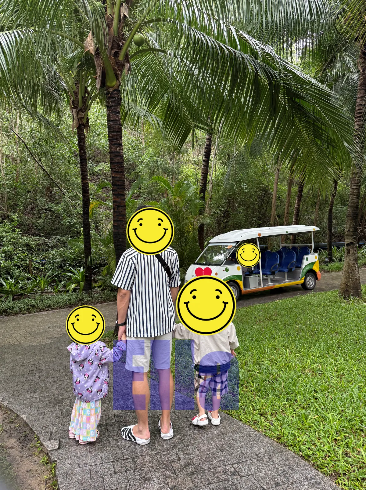 빈펄나트랑베이-버기카