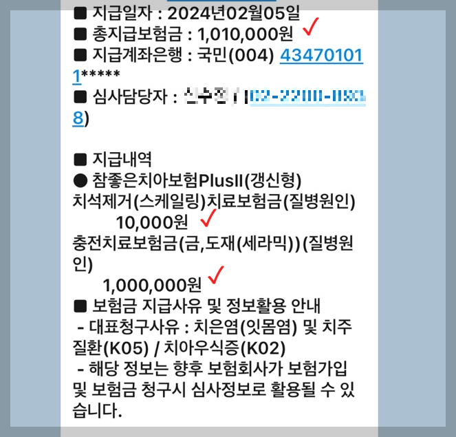 치아보험