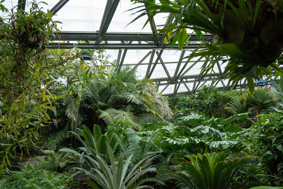 여미지 식물원 열대 정원