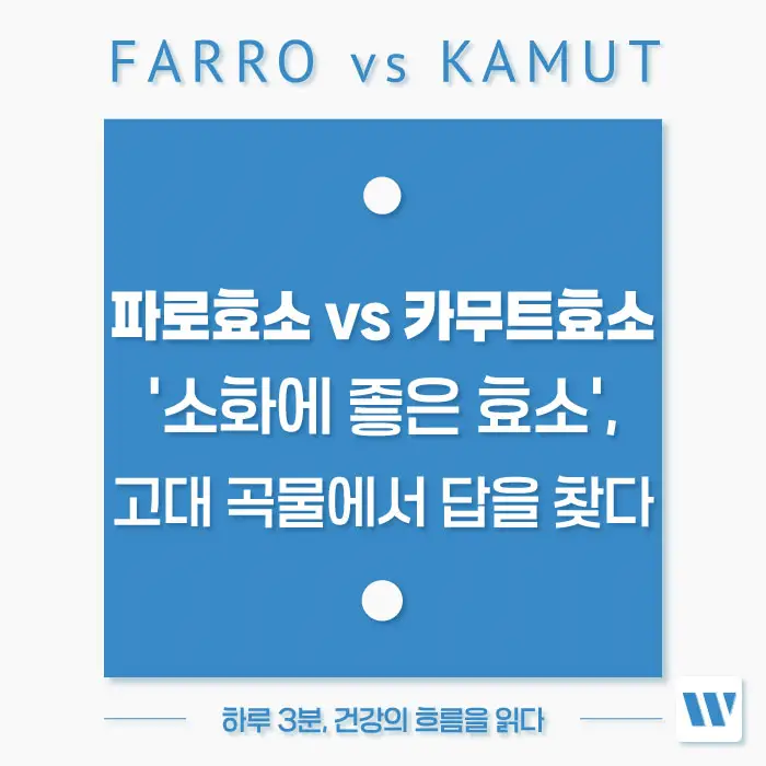 파로 효소 효능, 카무트 효소 효능