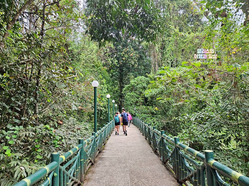코타키나발루 자유여행 추천 키나발루 국립공원 일일 투어 후기