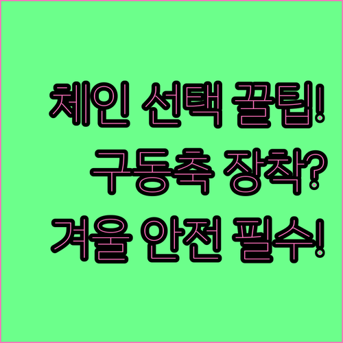 내 차에 맞는 스노우체인 선택과 정확..