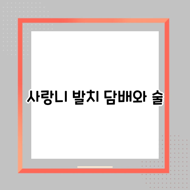 사랑니 발치 술 담배 관계