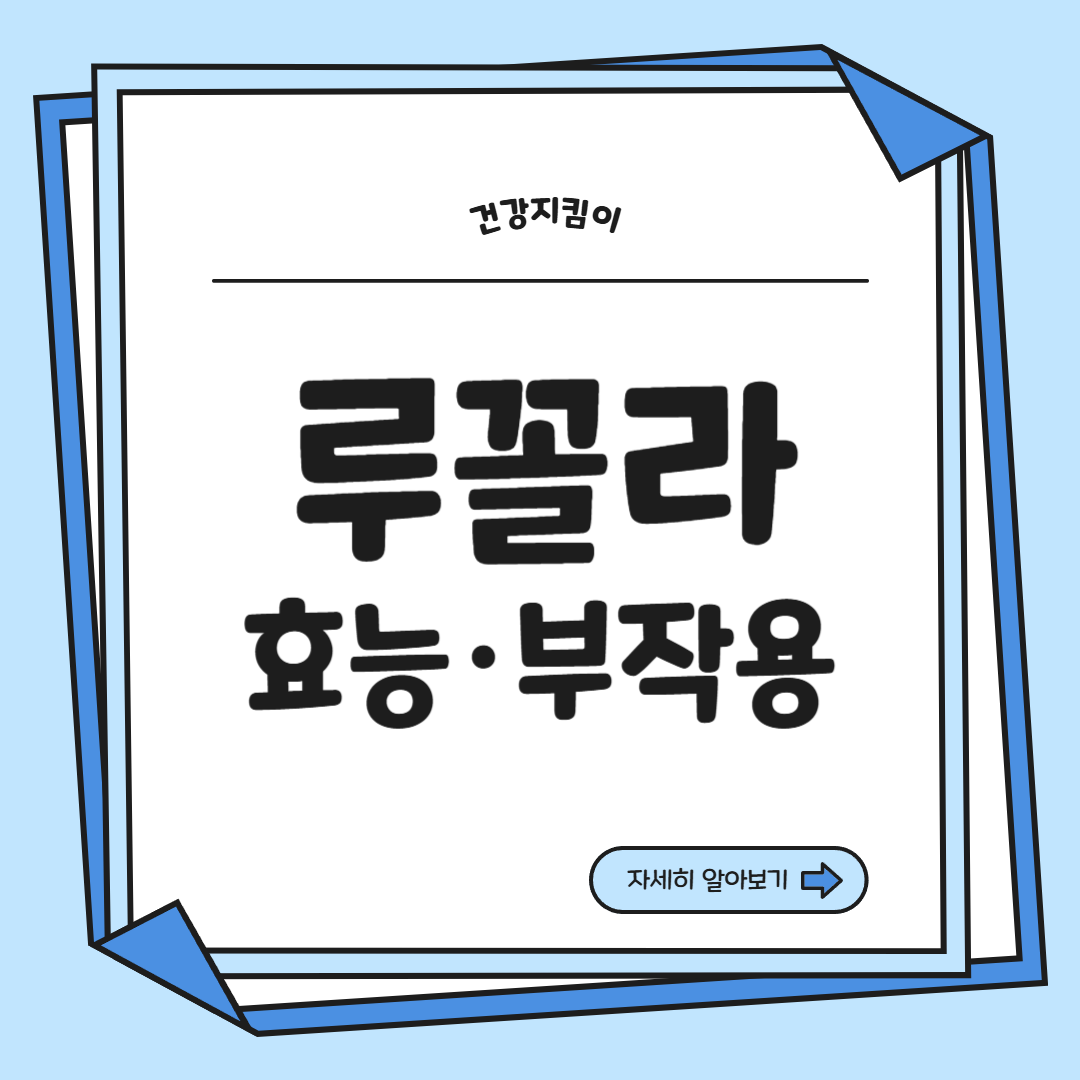 루꼴라 효능 부작용 영양성분 먹는법 고르는법 칼로리