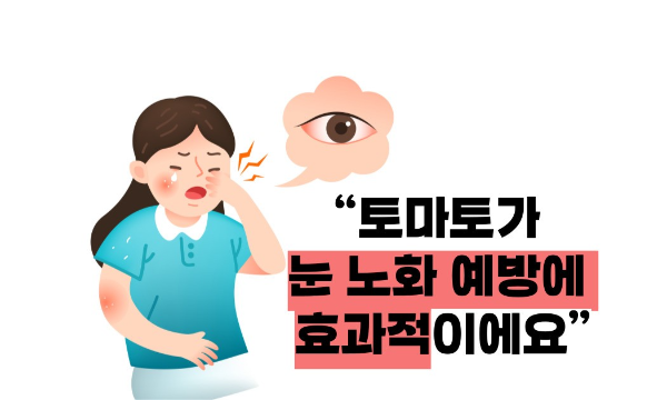 토마토 효능