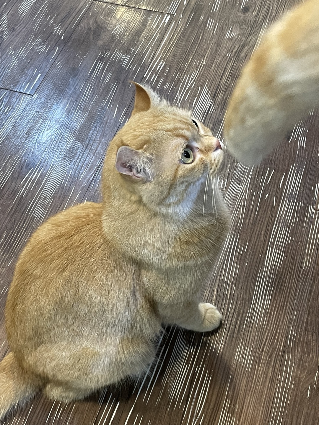 국내여행 관련 사진