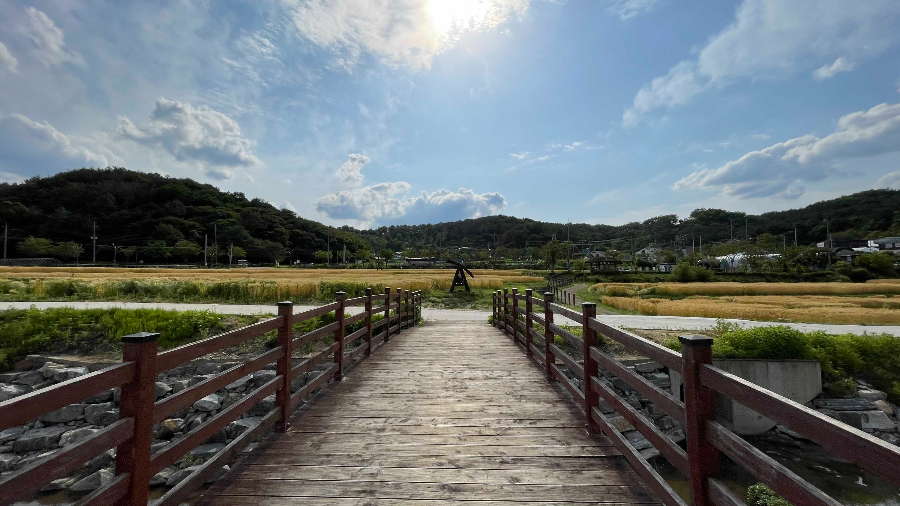 대전 산 투어 힐링 여행