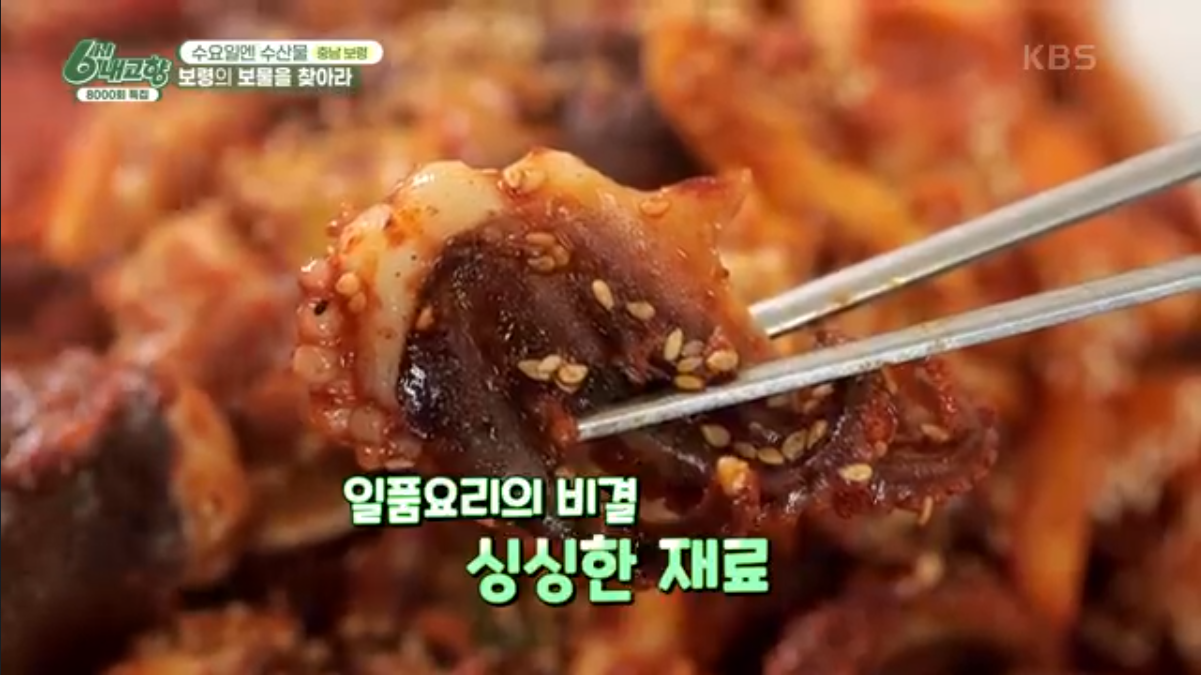 6시 내고향 충남 보령 쭈꾸미