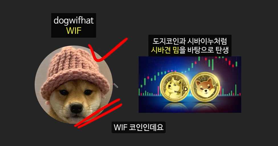 일론 머스크의 충격 발언과 도지코인, 플로키코인, 위프코인, 피넛코인, 프레드 코인의 강력한 상승 가능성 분석