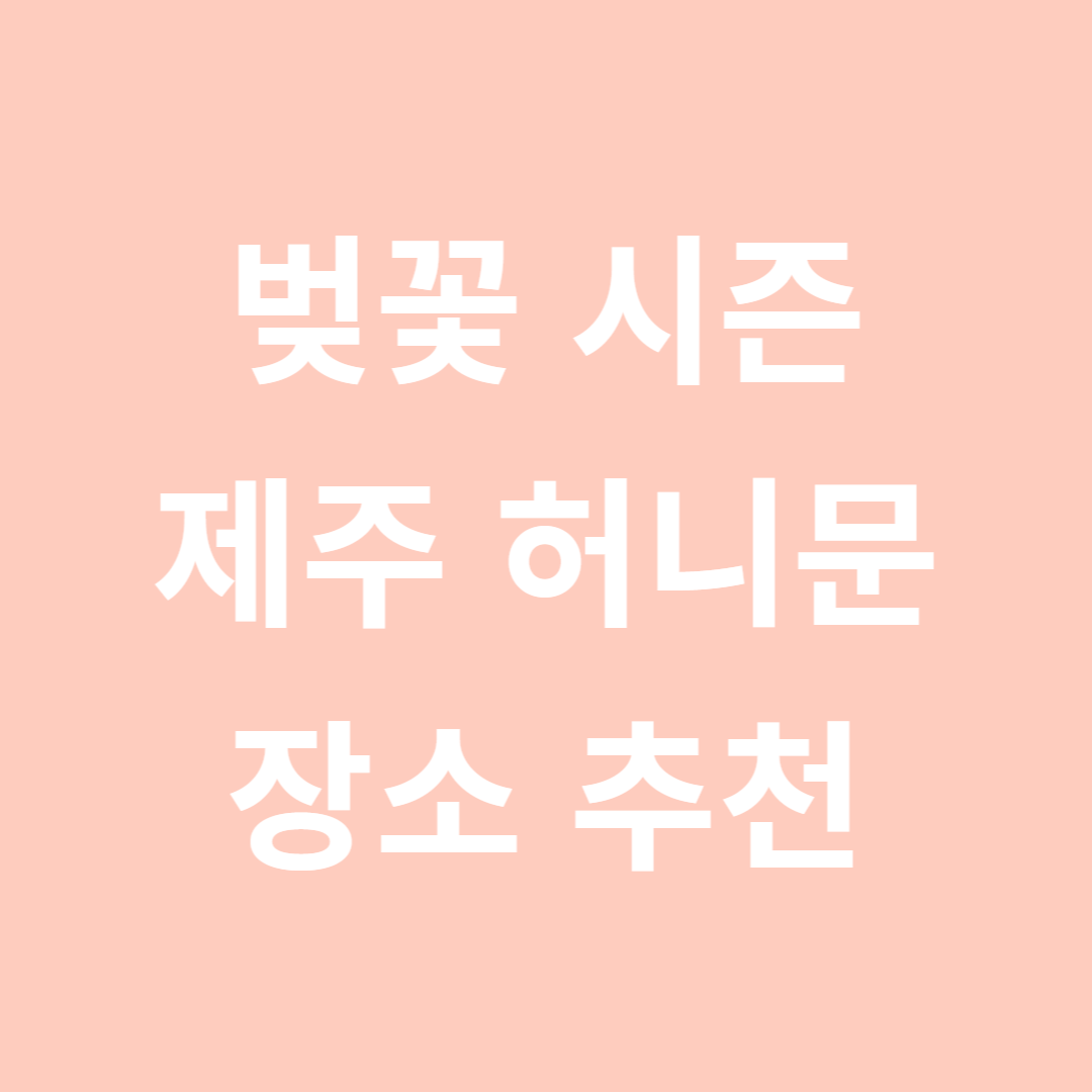 벚꽃-시즌-맞춤-제주-허니문-장소-총정리-관련-사진